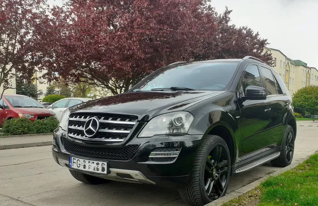 samochody osobowe Mercedes-Benz ML cena 60500 przebieg: 199000, rok produkcji 2010 z Żychlin